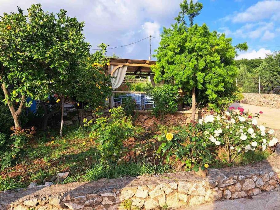 Fragosiko - Rustic Retreat In Kefalonia Argostoli  Exteriör bild