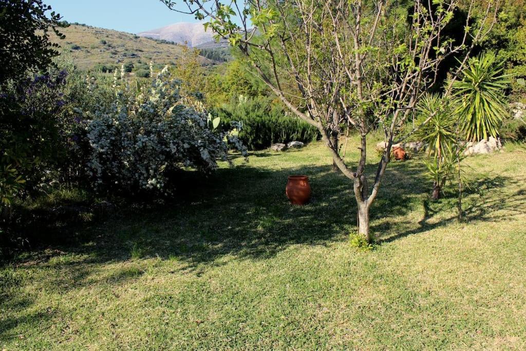 Fragosiko - Rustic Retreat In Kefalonia Argostoli  Exteriör bild