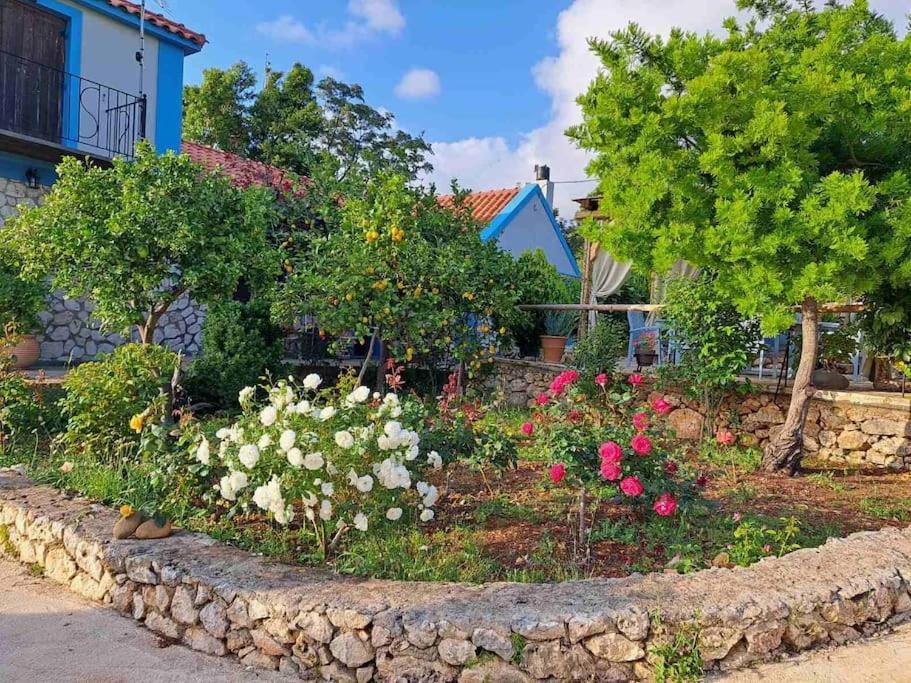 Fragosiko - Rustic Retreat In Kefalonia Argostoli  Exteriör bild