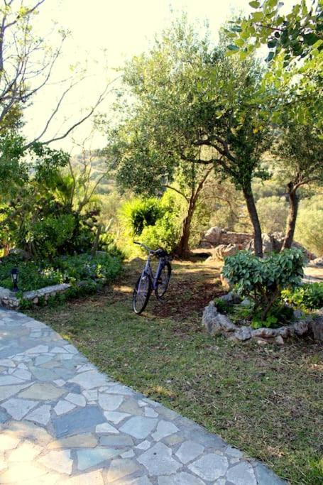 Fragosiko - Rustic Retreat In Kefalonia Argostoli  Exteriör bild