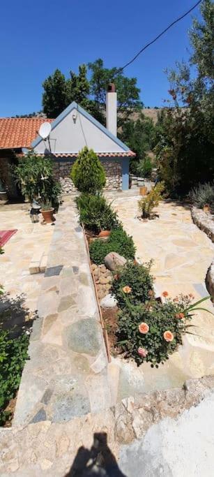 Fragosiko - Rustic Retreat In Kefalonia Argostoli  Exteriör bild