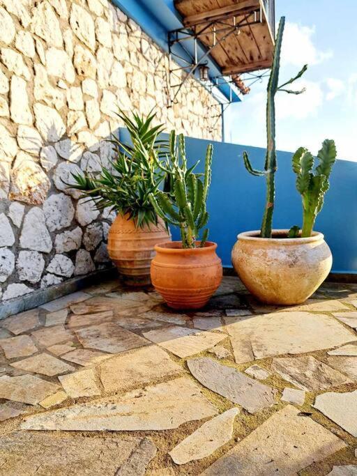 Fragosiko - Rustic Retreat In Kefalonia Argostoli  Exteriör bild